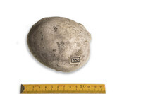 F 00885
<br/>
<br/>
<em></em>